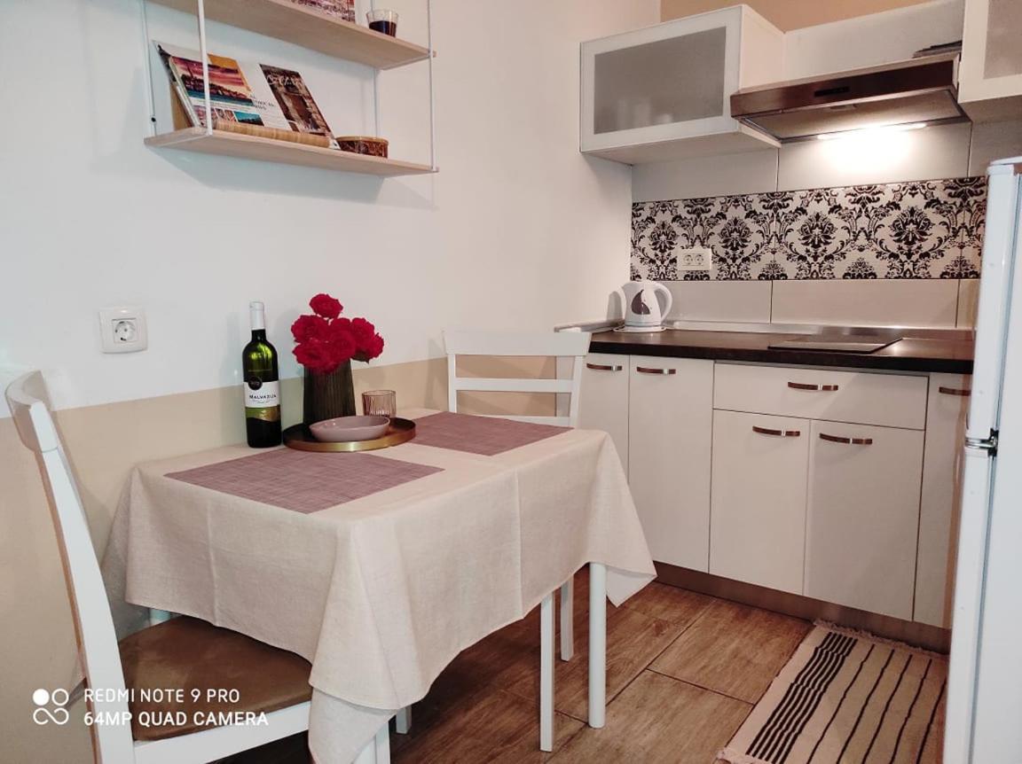 Nice Apartment In The City Center Ровин Екстериор снимка